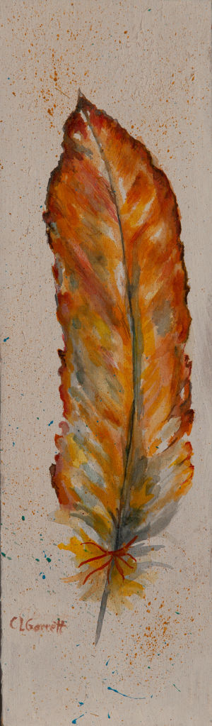feather on wood  $30