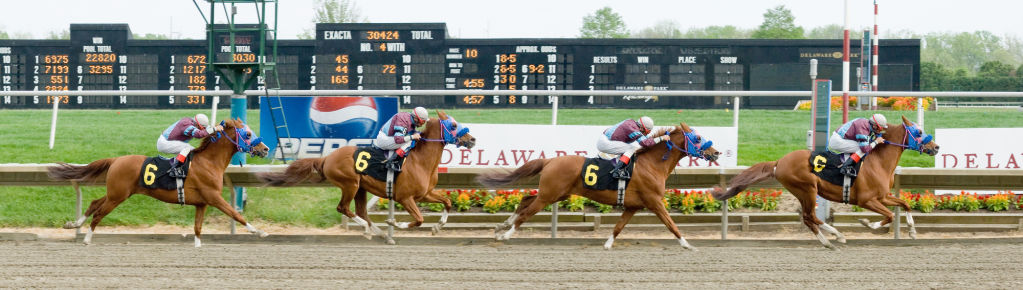 panoramic of this horses only win