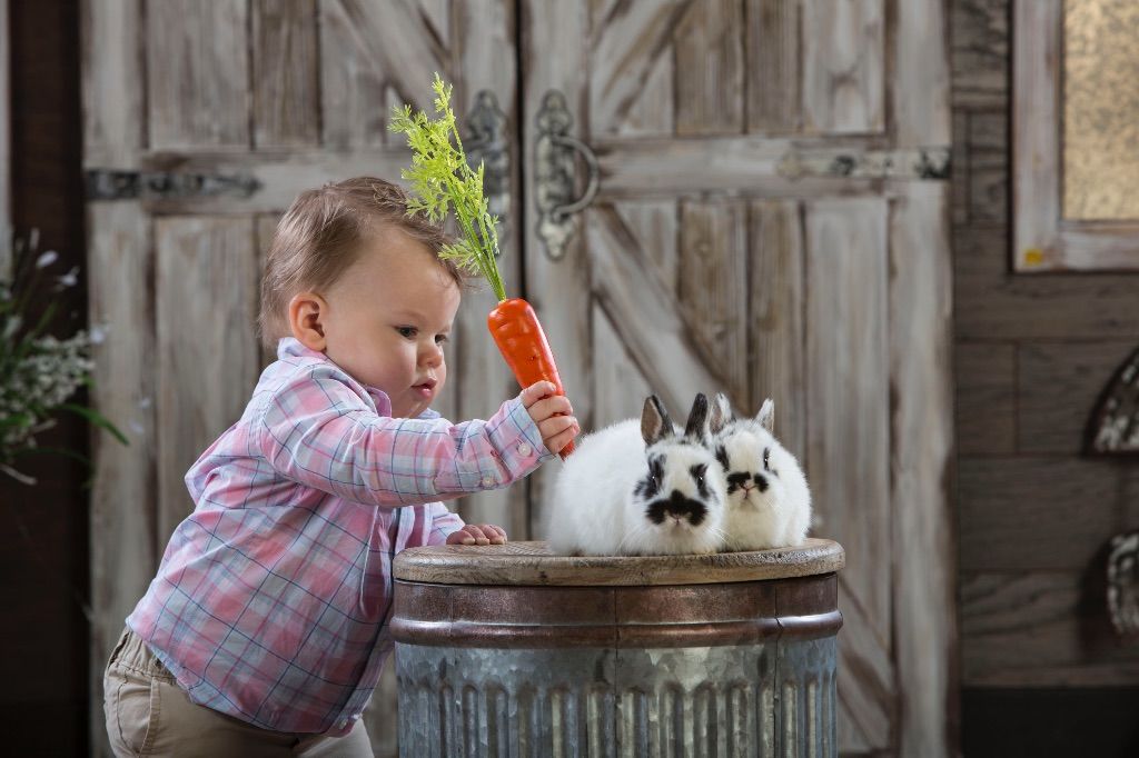 Easter Portraits With Real Bunnies