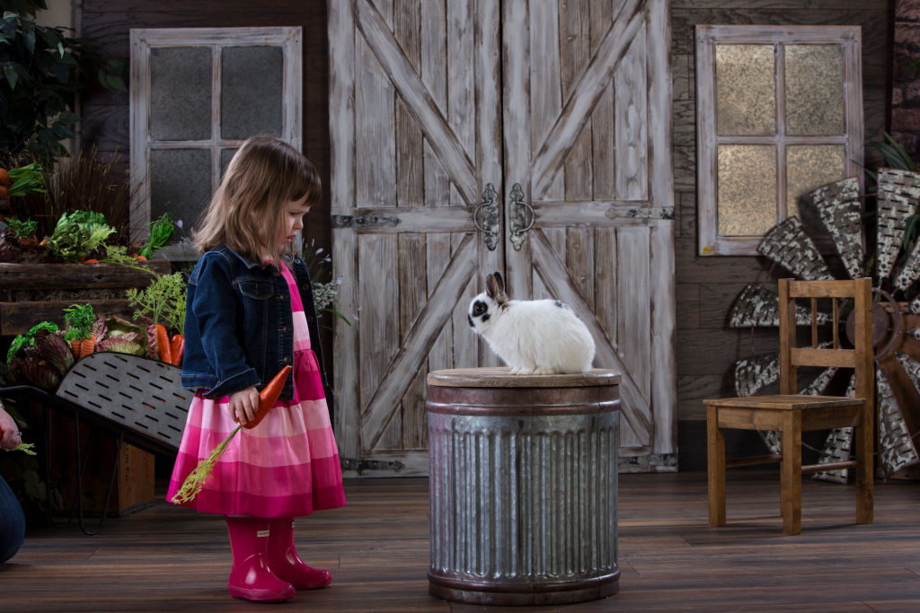 Easter Portraits With Real Bunnies