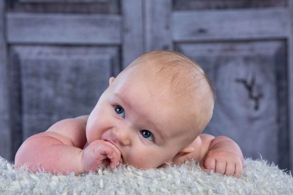 Adam's Three Month Portraits