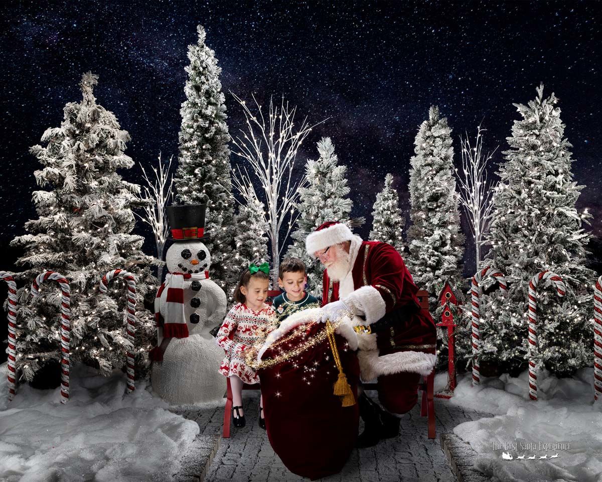 The Best Santa Experience 2021