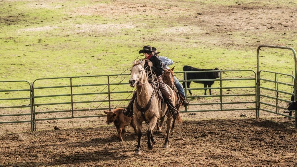 Hanging Heart J Ranch