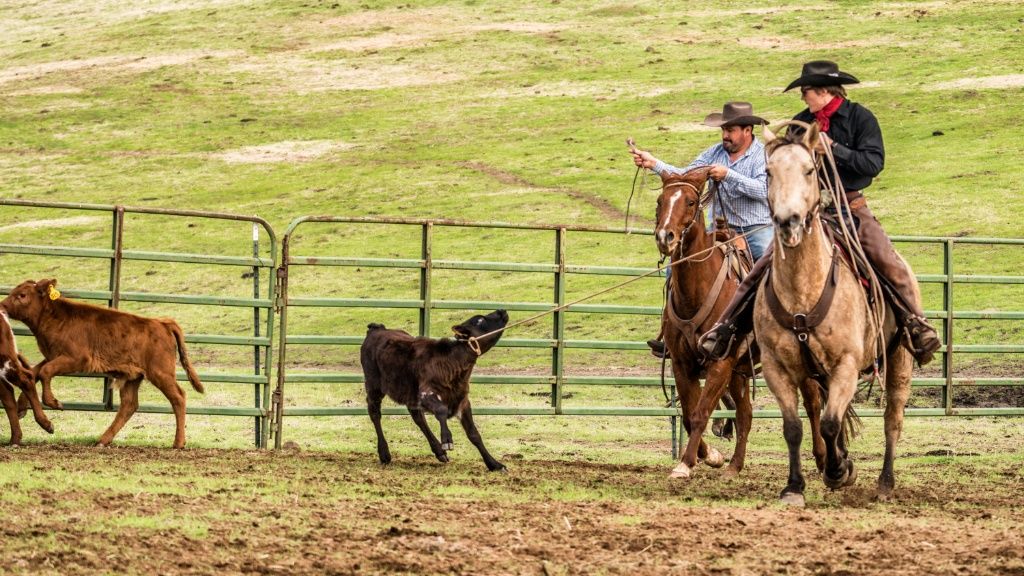 Hanging Heart J Ranch